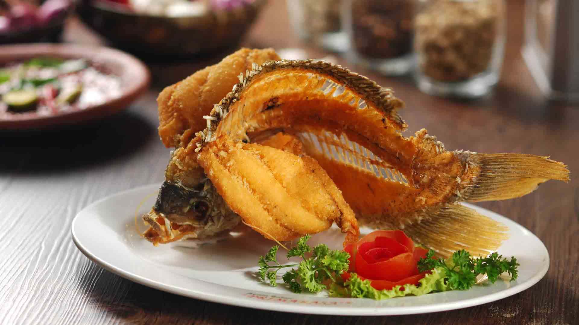 Ayam Bakar Primarasa Restaurant Kontak
